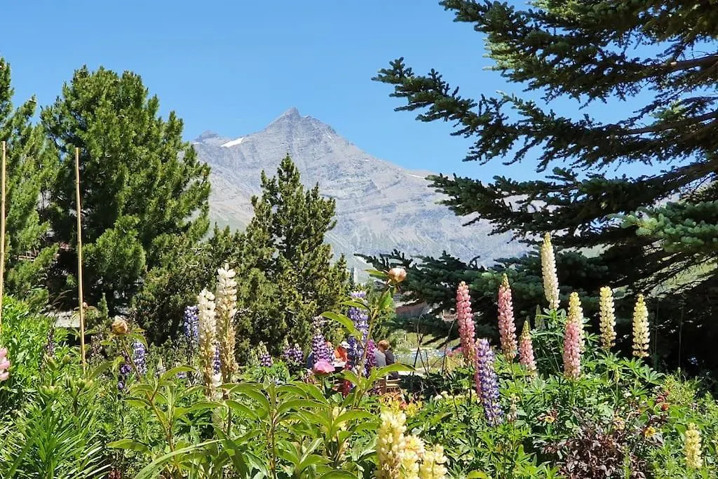 Tignes2100 - Le Telemark 티뉴